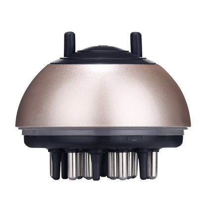 2 in 1 oil and scalp massager